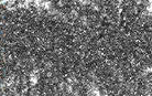 G-120 Steel Grit