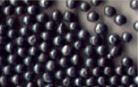 S-660 Steel Shot