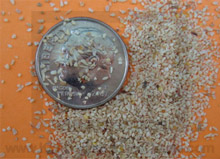 Sand Blasting Tumbling cabinet Corn Cob Grit Very Fine 2kg Bag 40/60 0.5mm-0.8mm 