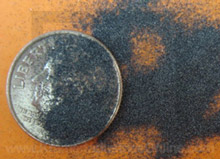 220 Mesh Silicon Carbide